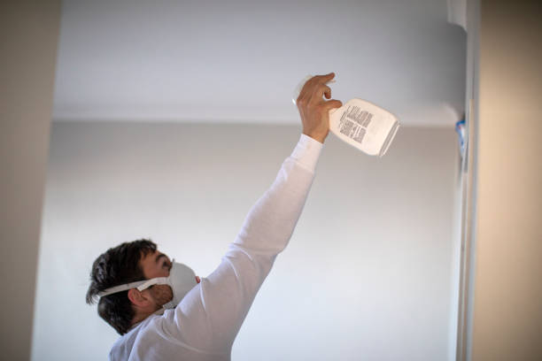Best Mold Cleaning Services  in Cross Plains, WI