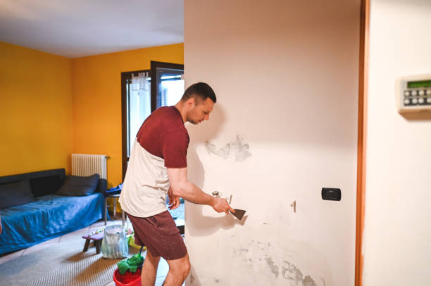 Best Home Mold Removal  in Cross Plains, WI